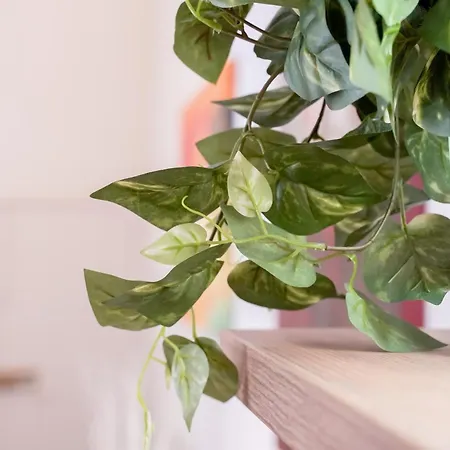 아파트 Four Elements